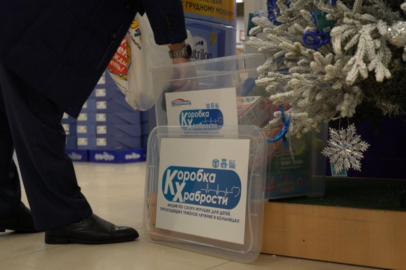 Фото Пресс-служба отделения партии "ЕДИНАЯ РОССИЯ" по Камчатскому краю