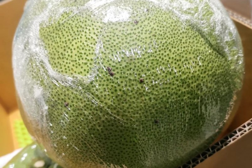 В аэропорту Иркутска обнаружили вредителей на помело и лаймах из Тайланда Пресс-служба управления Россельхознадзора по Иркутской области и Республике Бурятия