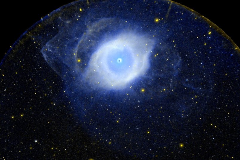 Тематическое фото pxhere.com (18+)