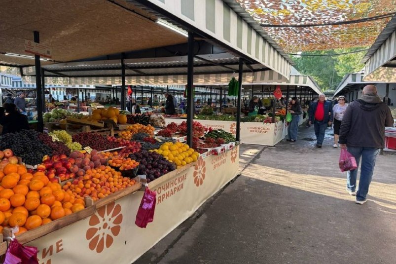 На рынках и ярмарках Кубани реализовали продукции на 187 млрд рублей Пресс-служба администрации Краснодарского края