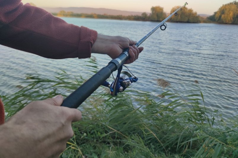 Судак в ноябре - тот еще гурман: клюет на приманку только такой формы ИА Stavropol.Media