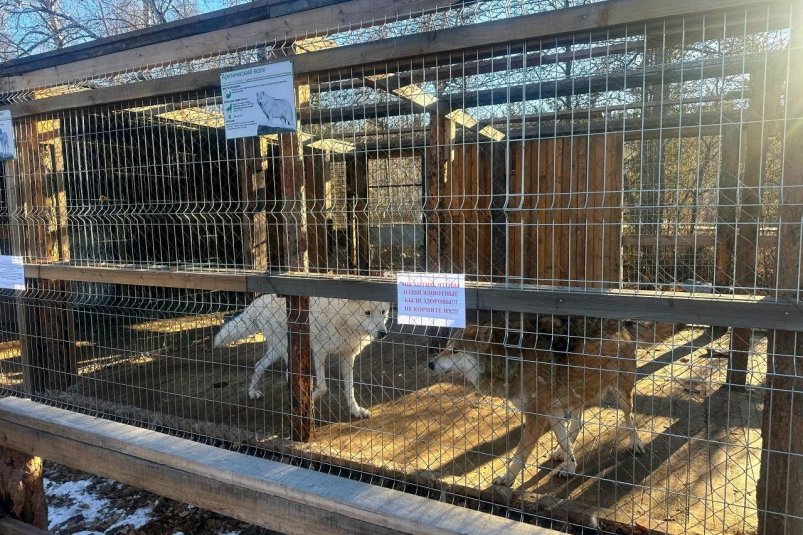 "Амодово" Амурской бассейновой природоохранной прокуратуры