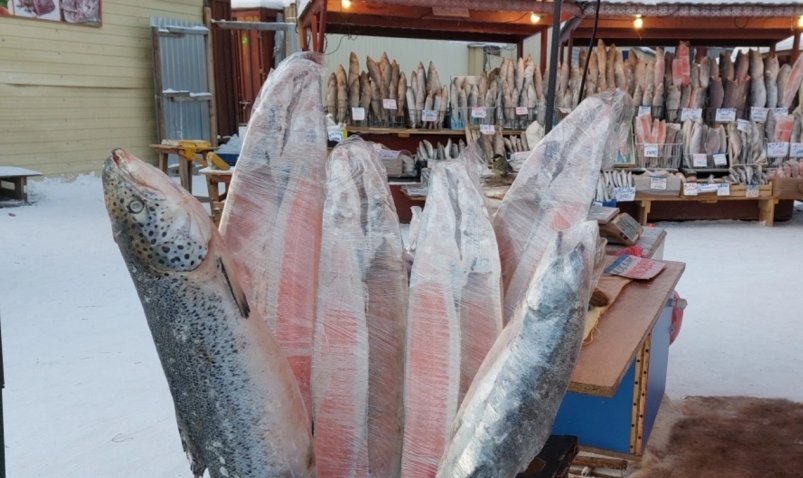 Рыболовство для коренных малочисленных народов в Якутии: вызовы и новые возможности ИА YakutiaMedia