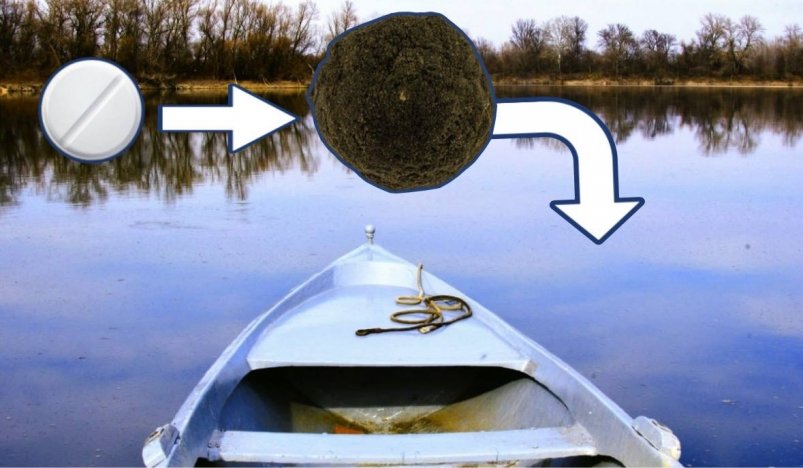 1 таблетка в прикормку - крупный карась клюет как не в себя: ведро наполнится за 30 минут Diana Draginova/unsplash и ИА StolicaMedia