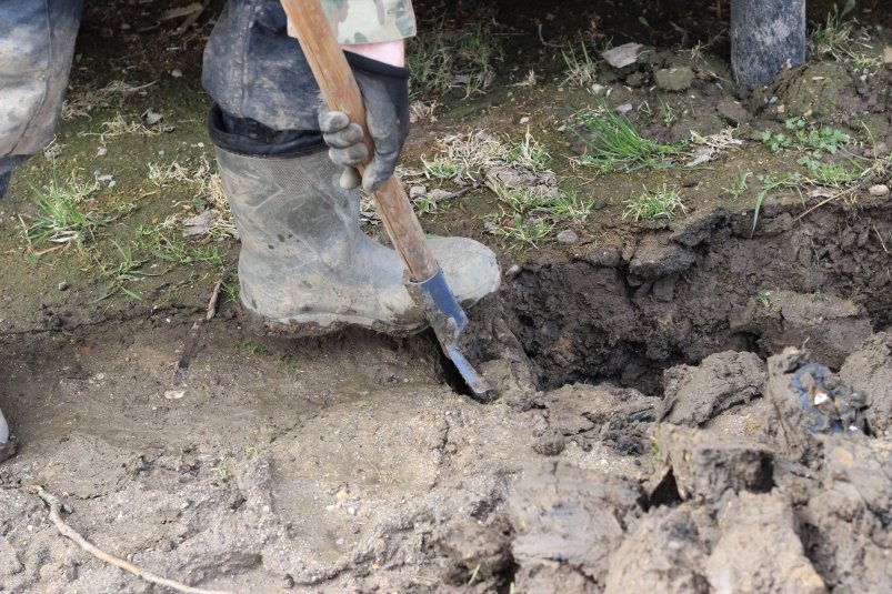 Тематическое фото pxhere.com (18+)