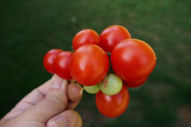 Тематическое фото pxhere.com (18+)