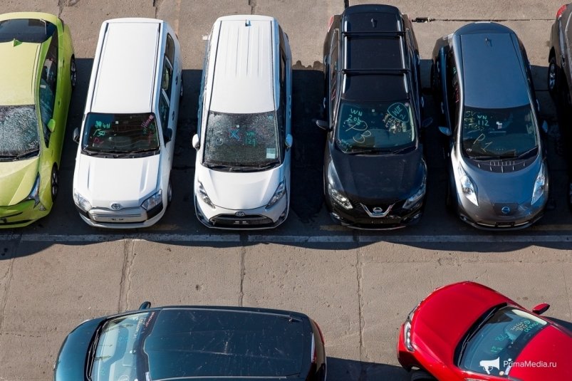 Тематическое фото ИА PrimaMedia