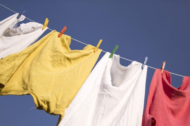 Тематическое фото pxhere.com