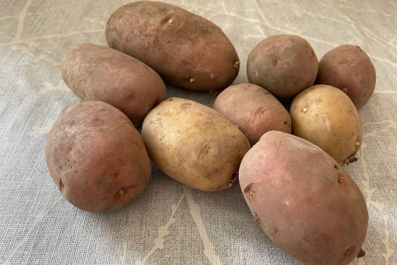 Эти 2 сорта картофеля - самые вкусные в России: урожайность на сотку по 300 кг ИА StolicaMedia