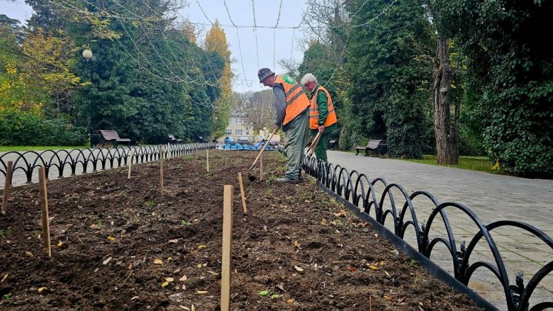 Высадка тюльпанов Пресс-служба правительства Севастополя