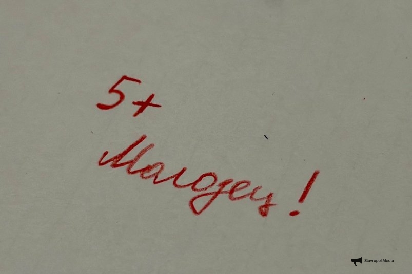 Кто решит - тот молодец: школьный пример, на котором спотыкаются даже отличники ИА Stavropol.Media