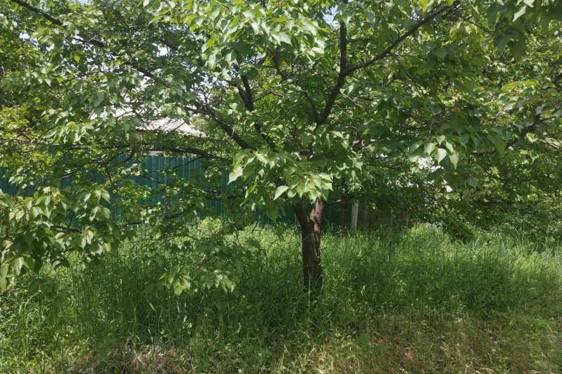 Фото автора автора