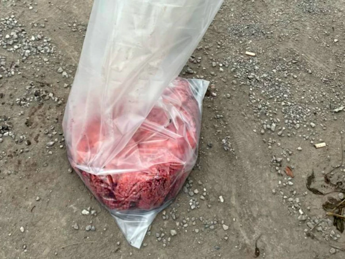 Тематическое фото пресс-служба УМВД России по Сахалинской области