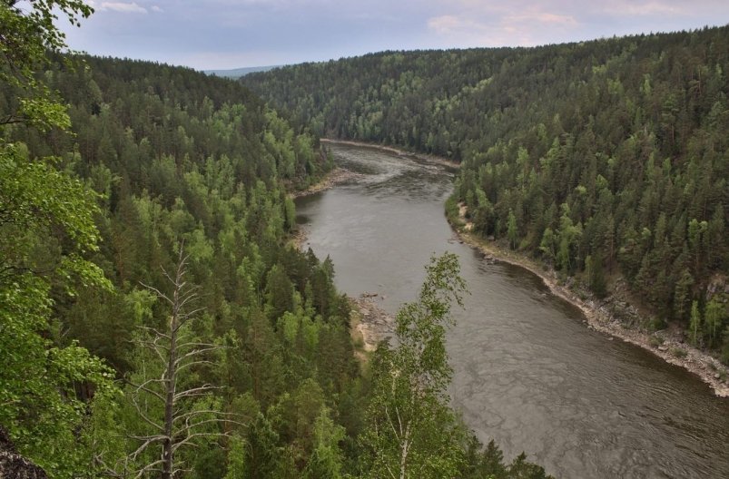 . пресс-служба министерства природных ресурсов и лесного комплекса Красноярского края
