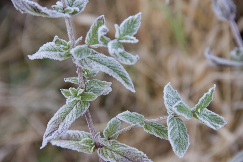 Тематическое фото ИА SakhalinMedia