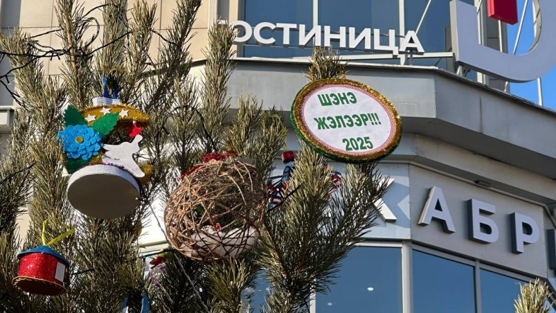 "Ёлки Забайкалья" Анастасии Москалёвой, ИА ChitaMedia