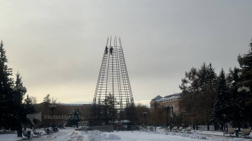 Новогоднюю елку вовсю устанавливают в Иркутске Юлия Ушакова, ИА IrkutskMedia