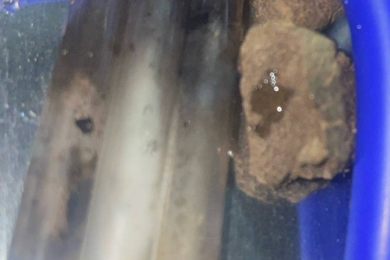 В Улан-Удэ мужчина нес в коробке из-под конфет наркотики Росгвардия по Бурятии