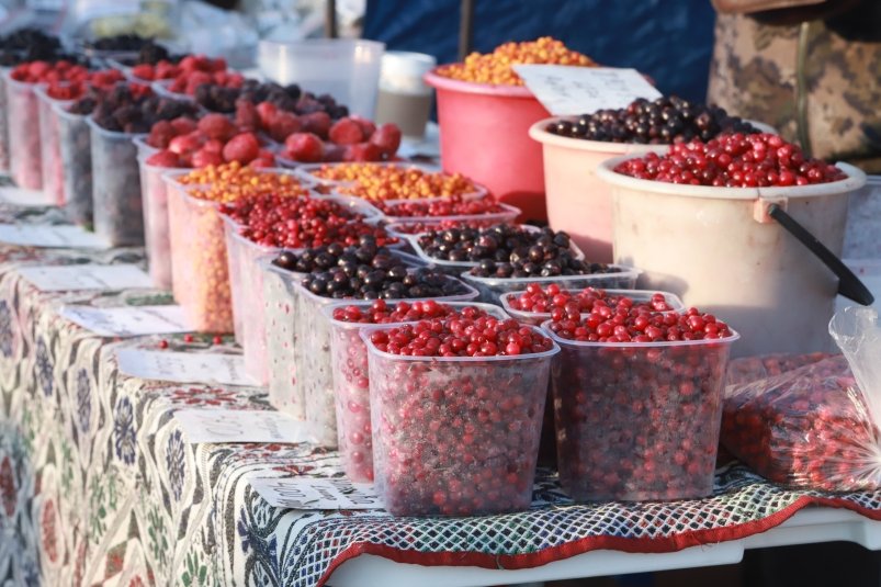 Ярмарка, ягода, продажа, торговля, продукты ИА ChitaMedia