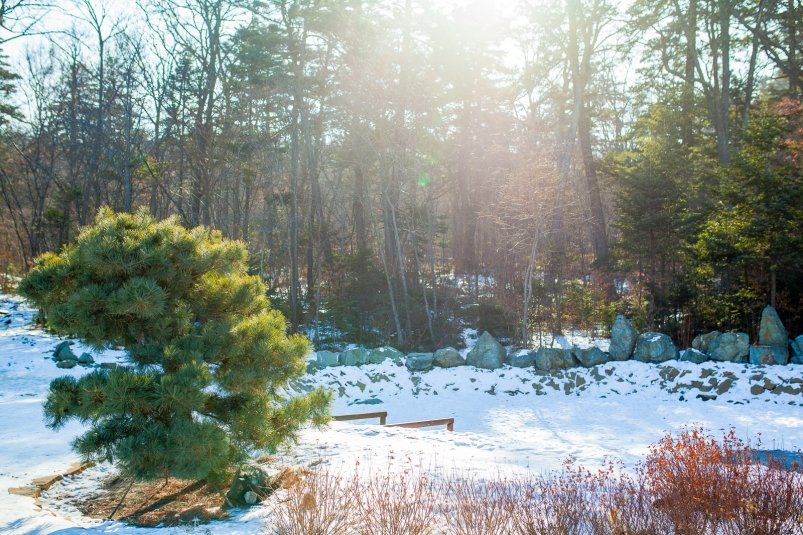 лес, природа, Приморье, поход, погода, прогулка Мария Смитюк, ИА PrimaMedia.ru