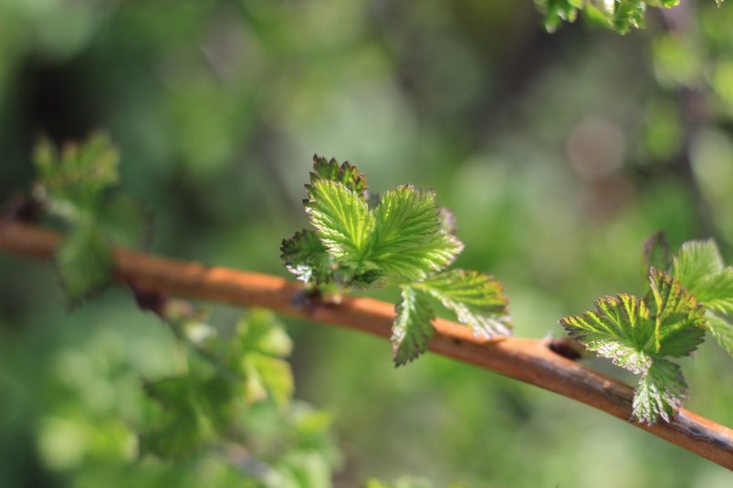 Тематическое фото pxhere.com (18+)