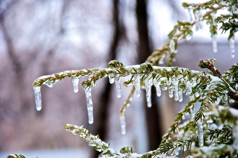 Тематическое фото unsplash.com