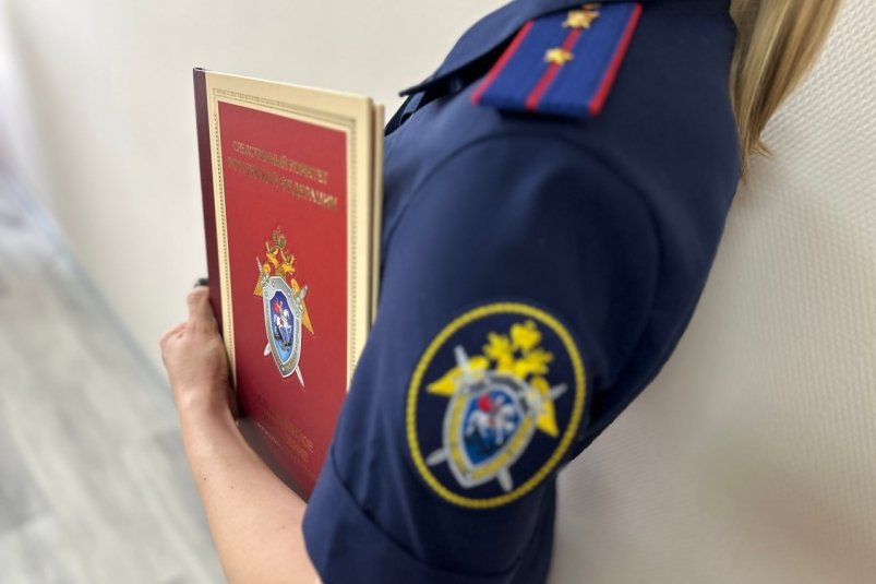 Адвоката задержали в Ростове-на-Дону по уголовному делу СУ СКР по Ростовской области