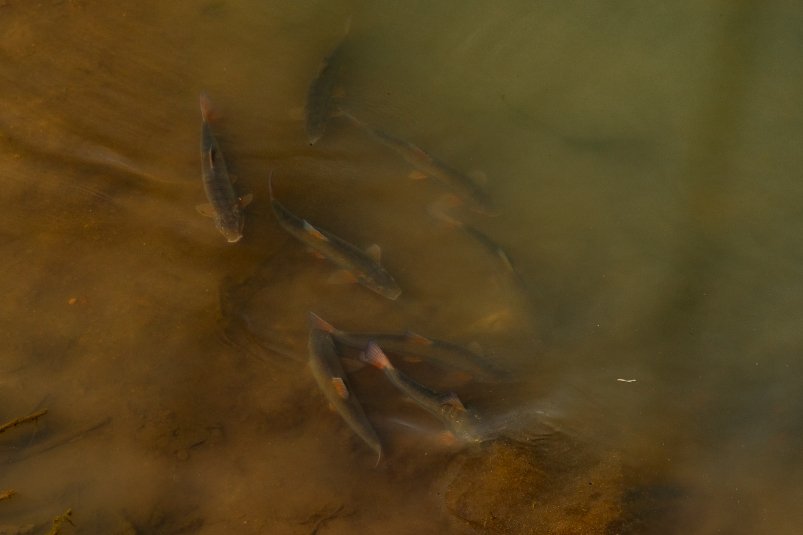 Тематическое фото Илья Аверьянов, ИА PrimaMedia.ru