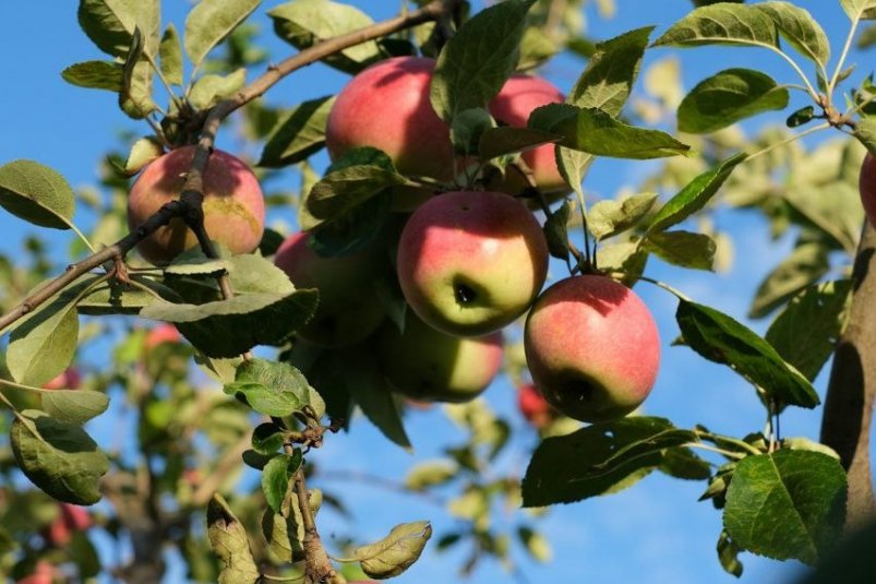 Тематическое фото unsplash