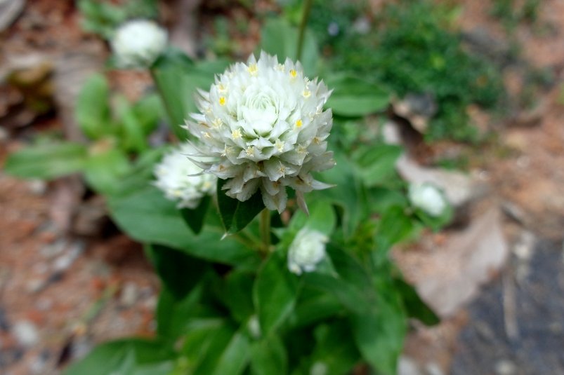 Тематическое фото pxhere.com (18+)