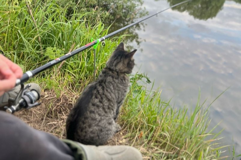 Тематическое фото Автора