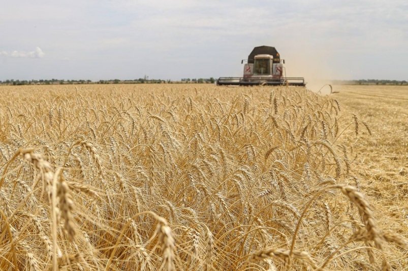 Сбор урожая Соцсети Минсельхоза РК