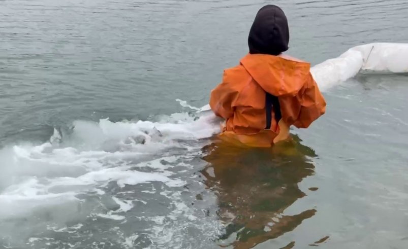 Кадр из видео Соцсети Минсельхоза РК