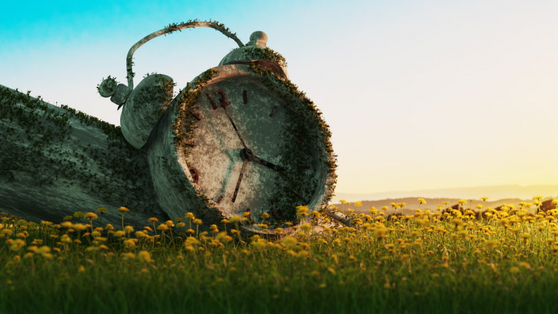 Тематическое фото unsplash.com