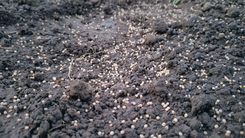 Фото автора автора