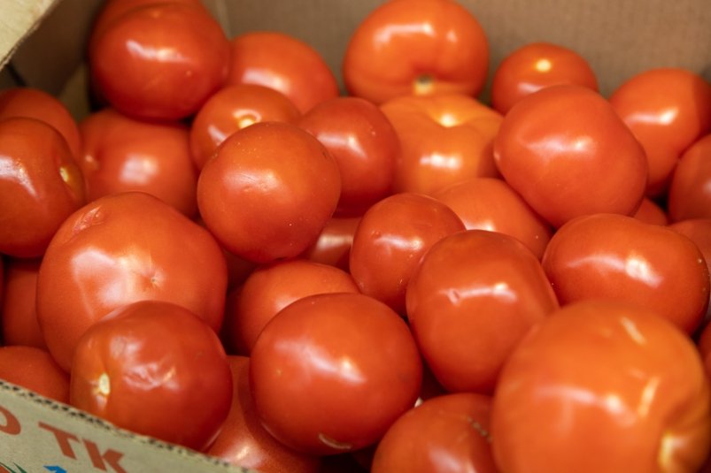 Выращиваю тройку надежных сортов - томаты мясистые и сладкие: урожай собираю вплоть до октября фото автора