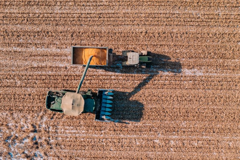 Сельское хозяйство Мария Смитюк, ИА PrimaMedia.ru