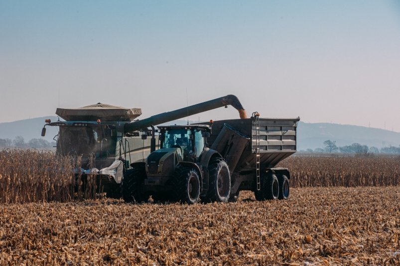 посев Мария Смитюк, ИА PrimaMedia.ru