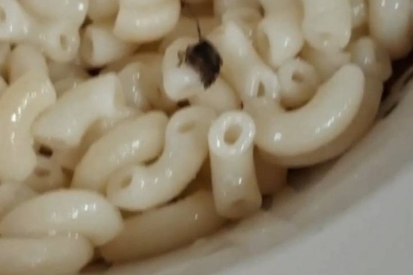 Таракана в школьном обеде нашли в Бурятии телеграм-канал "Иволга-инфо.24/7"