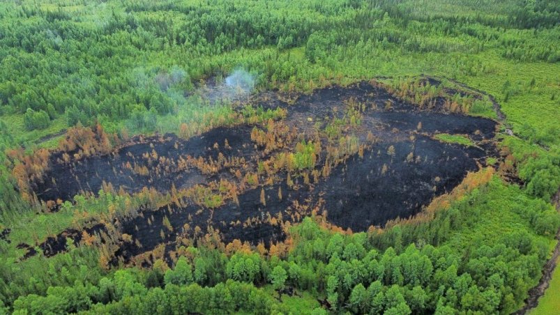 10 новых дронов поступили в лесхозы республики по нацпроекту пресс-служба правительства Бурятии