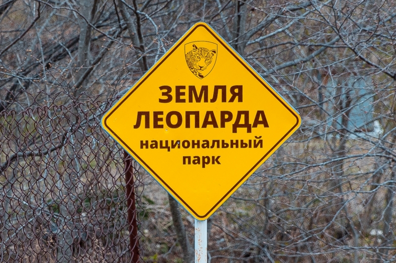 Земля леопарда национальный парк Илья Аверьянов, ИА PrimaMedia