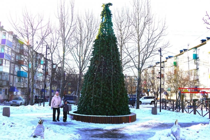 Новогодние елки ставят в Петропавловске-Камчатском пресс-служба администрации ПКГО