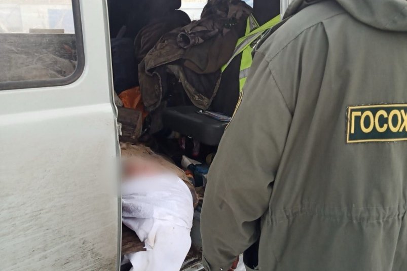 Косуля тг-канал Охотнадзора (18+)