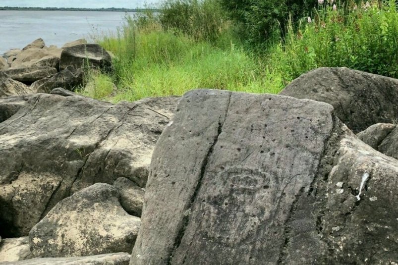 Тематическое фото АНО "ТИЦ"