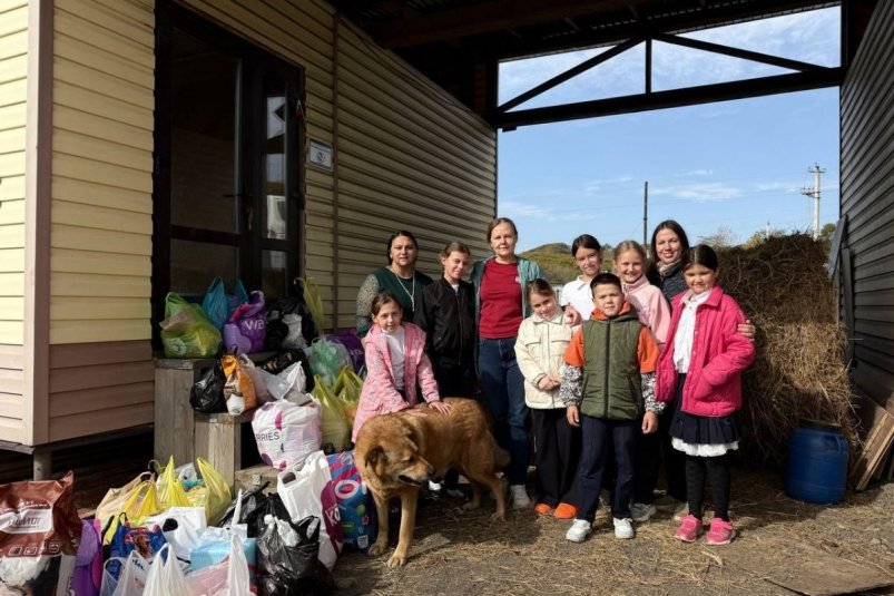 Партпроект "Защита животного мира" собрал помощь для животных прифронтовой Курской области Пресс-служба партии ЕР