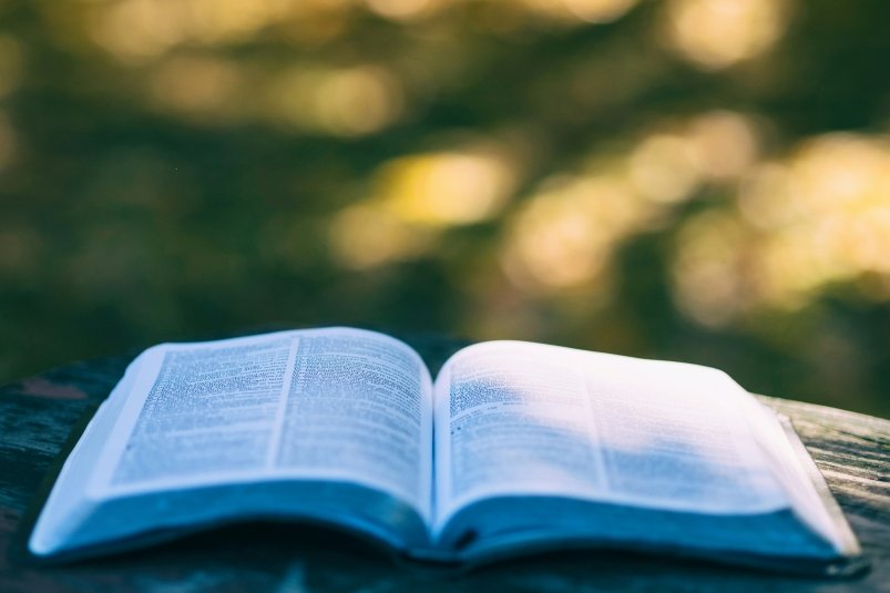 Тематическое фото unsplash.com