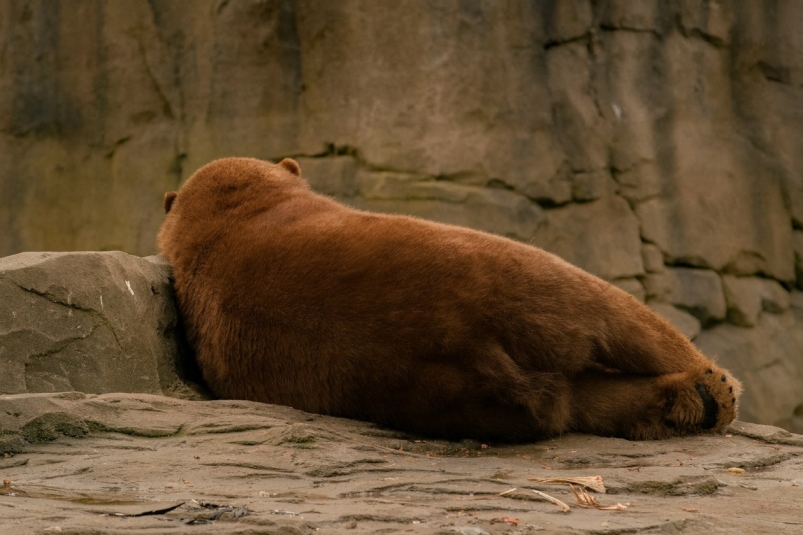 Тематическое фото unsplash.com