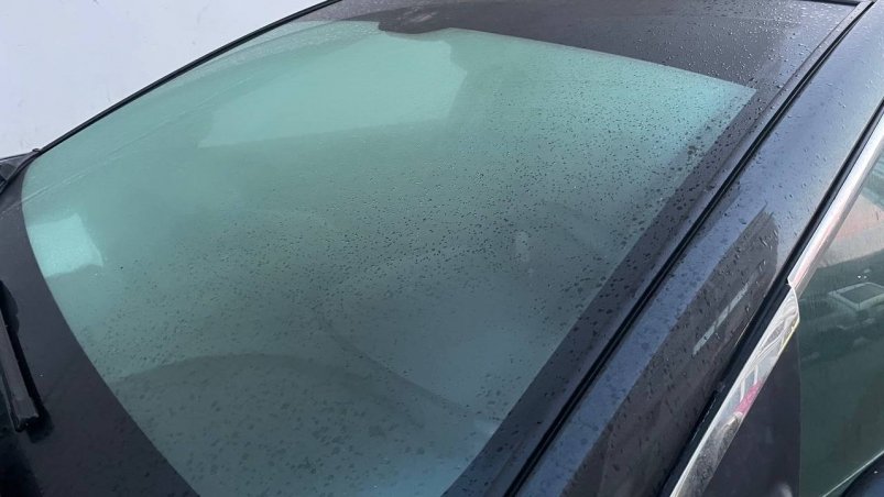 Кладу на коврики каждый ноябрь: лобовое не потеет ни в дождь, ни в первый снег ИА KrasnodarMedia