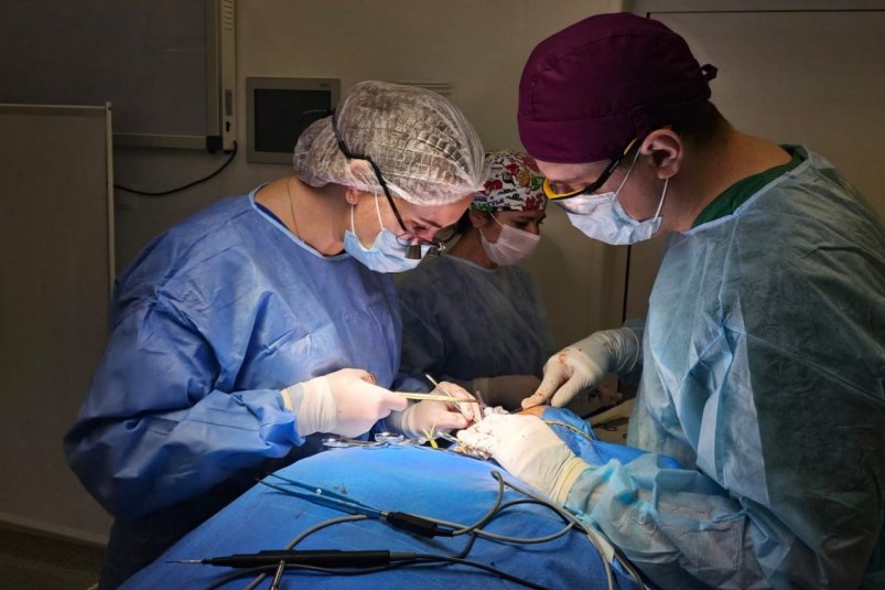 Аневризму удалили у возрастной пациентки Минздрав Крыма