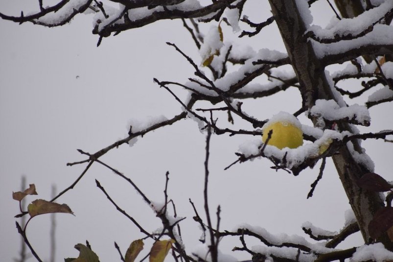 Тематическое фото unsplash